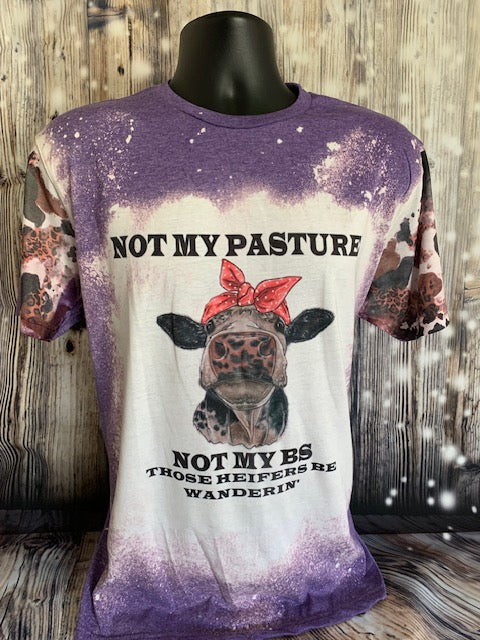 Not My Pasture/BS - Heifers Wanderin'