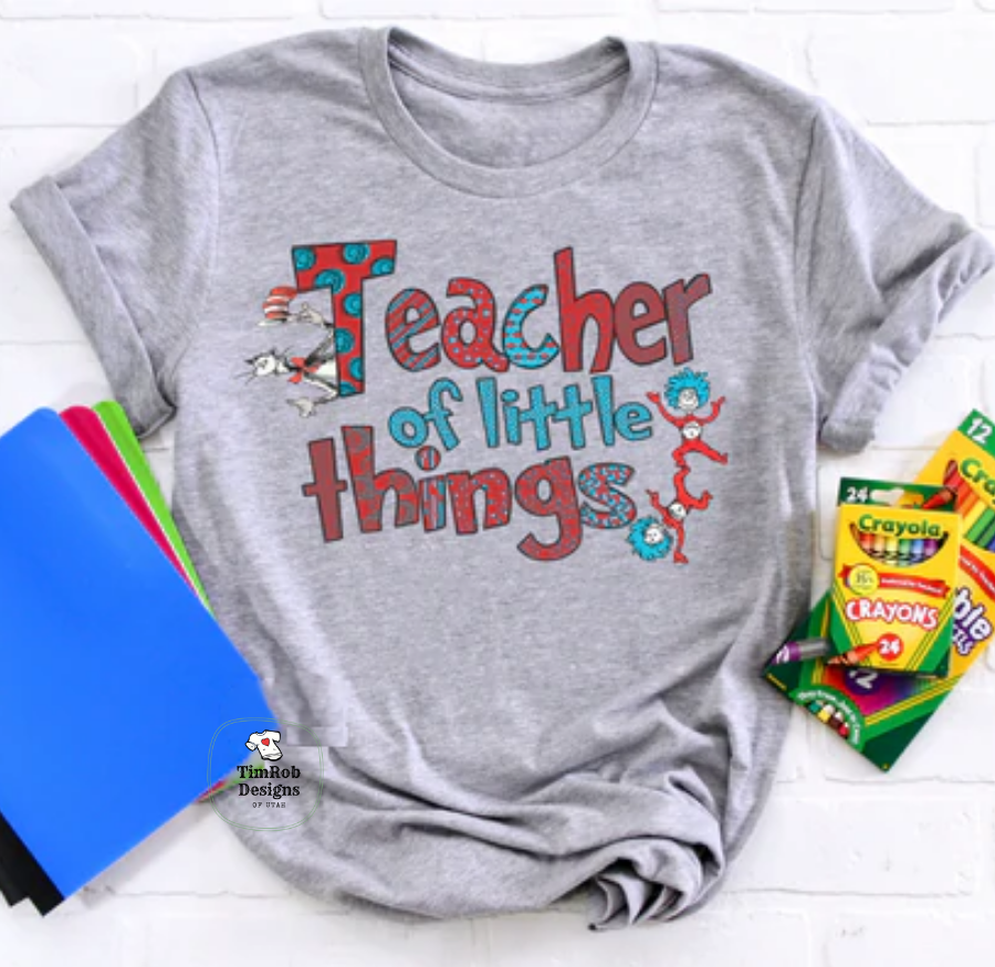 Teacher of Little Things